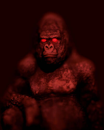 057 001 Render Website 11