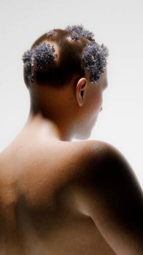 Tressless Render Graded MASTER 06