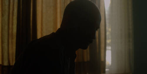 Parallel Wolrds Header 2