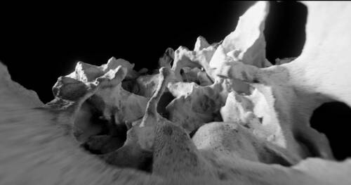 Co presence still video web2